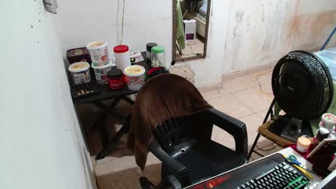 Snapshot of leonino231 chatting on 12-15-25, 04:06 leonino231 online show from 12-15-25, 04:06