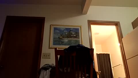 Snapshot of letsplay361 chatting on 03-02-25, 08:05 letsplay361 online show from 03-02-25, 08:05