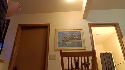 Snapshot of letsplay361 chatting on 03-08-25, 01:47 letsplay361 online show from 03-08-25, 01:47