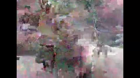 Snapshot of leweylewy chatting on 11-13-25, 11:58 leweylewy online show from 11-13-25, 11:58