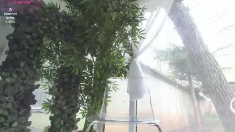 lexi_storm online show from 04-11-26, 07:56