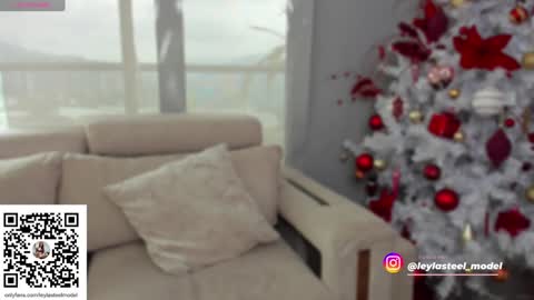 Snapshot of leyla_steel chatting on 12-24-24, 02:01 INSTA leylasteel model online show from 12-24-24, 02:01