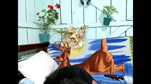 Lia online show from 09-13-25, 09:25