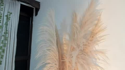 Lia online show from 04-16-26, 03:29