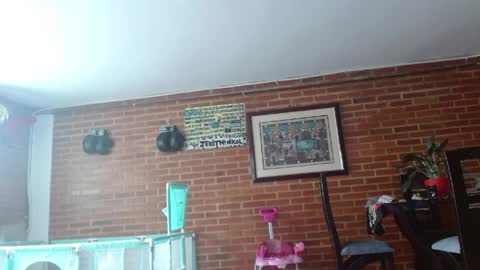 Snapshot of liarouse04 chatting on 05-17-26, 04:03 Liarouse04 online show from 05-17-26, 04:03