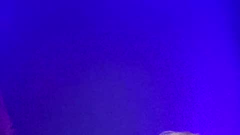 LickYourYoni online show from 12-02-24, 02:19