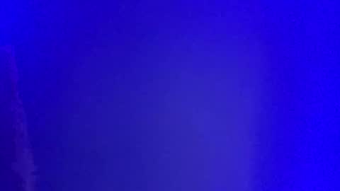 LickYourYoni online show from 01-01-25, 02:52