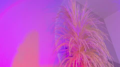 Liiam Luna online show from 04-03-26, 10:02