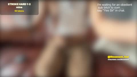 Snapshot of likeasnack chatting on 02-24-26, 06:06 likeasnack online show from 02-24-26, 06:06