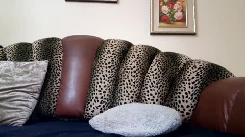 Celine online show from 12-19-24, 10:53