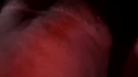 Liketoplay online show from 03-20-26, 11:48