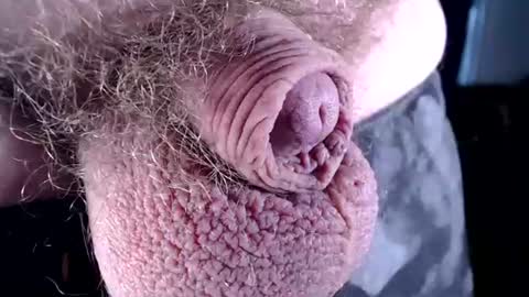 Snapshot of lildickbigbelly chatting on 07-06-26, 07:16 lildickbigbelly online show from 07-06-26, 07:16
