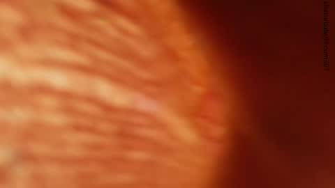 your love online show from 11-24-25, 01:27