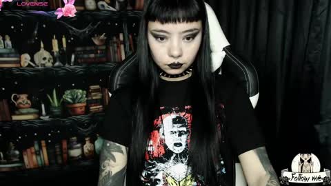   online show from 12-20-24, 12:08