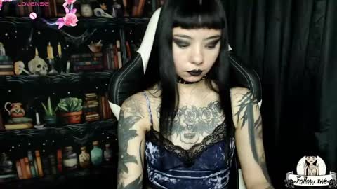   online show from 12-20-24, 03:14