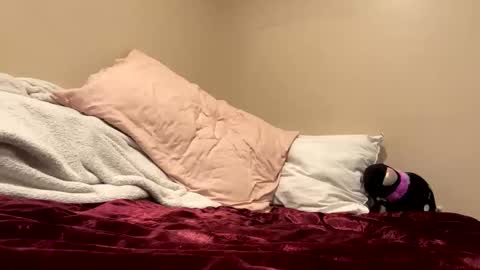 Snapshot of lilkittyphatkat chatting on 09-12-25, 03:56 Kitty online show from 09-12-25, 03:56