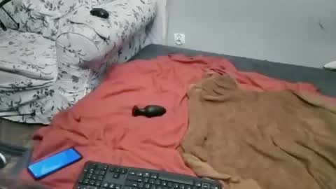 Lilli Sissy SlutCat online show from 07-02-26, 11:11