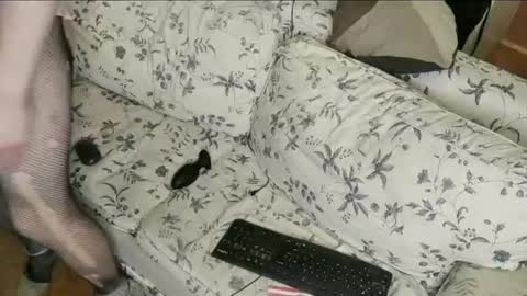 Lilli Sissy SlutCat online show from 07-31-26, 01:21