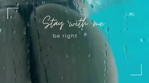 Lily online show from 11-09-25, 06:33