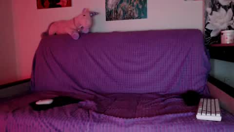 Snapshot of lily_litle chatting on 12-08-24, 06:17 Lily Litle online show from 12-08-24, 06:17