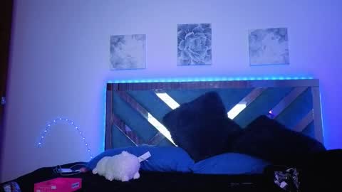 Snapshot of lilygamer1 chatting on 10-20-25, 03:29 Lily online show from 10-20-25, 03:29