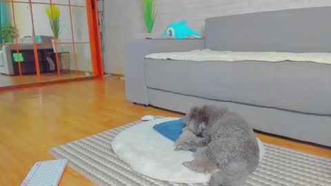 Snapshot of lilyt_007 chatting on 01-14-25, 06:02 lilyt_007 online show from 01-14-25, 06:02