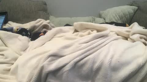 Snapshot of lingeriesissy12 chatting on 02-13-25, 11:04 lingeriesissy12 online show from 02-13-25, 11:04