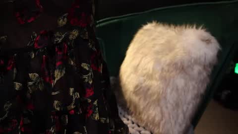 Lire online show from 02-20-25, 04:18