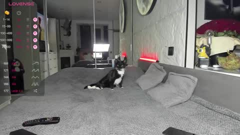 Lisa online show from 11-17-25, 02:45