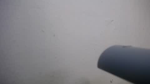 Snapshot of lisa_branch chatting on 11-04-25, 07:02 lisa_branch online show from 11-04-25, 07:02