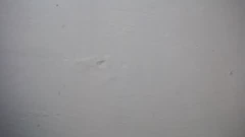 Snapshot of lisa_branch chatting on 11-27-25, 07:27 lisa_branch online show from 11-27-25, 07:27