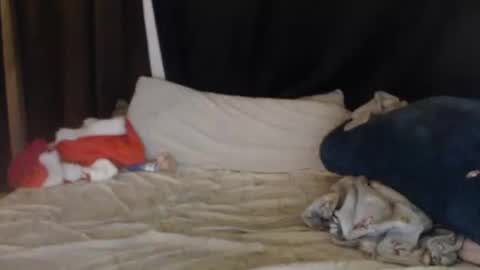 Snapshot of lisa_tyler chatting on 12-27-24, 07:40 Lisa Tyler online show from 12-27-24, 07:40