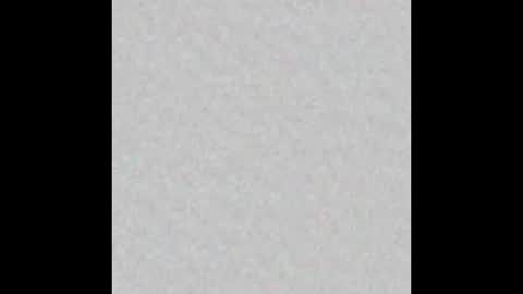 Snapshot of little_pearl_ chatting on 02-09-26, 05:33 Adaline online show from 02-09-26, 05:33