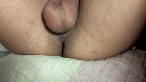 Snapshot of little_universe chatting on 11-02-25, 05:04 Rick online show from 11-02-25, 05:04