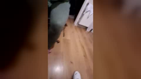 littlebum85 online show from 07-26-26, 10:38