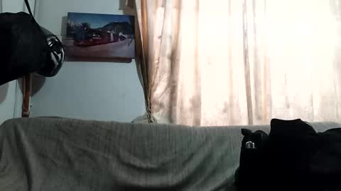 Snapshot of littlepornstars chatting on 02-20-26, 04:07 Kruger and girls online show from 02-20-26, 04:07