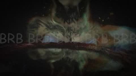 Niki  free tg channel with some photos gifs and info about streams  online show from 02-02-25, 07:41