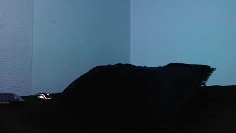 Snapshot of lliamm_2 chatting on 09-27-25, 05:23 lliamm 2 online show from 09-27-25, 05:23