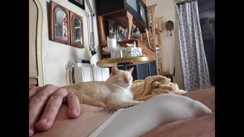 Lo82 online show from 10-03-25, 11:51