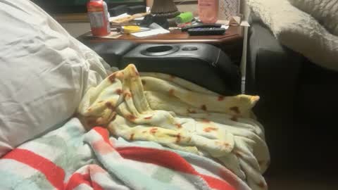 Snapshot of logical12345 chatting on 12-01-25, 03:22 logical12345 online show from 12-01-25, 03:22