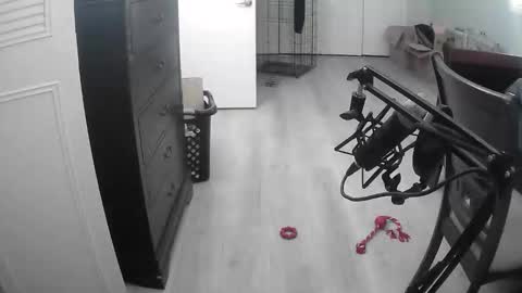 lohangwang69 online show from 02-15-26, 09:44