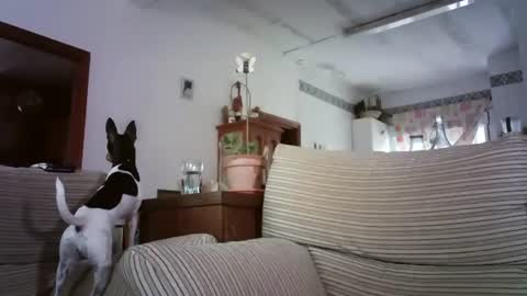 LOLA HUESO y ERIC online show from 10-06-25, 08:12