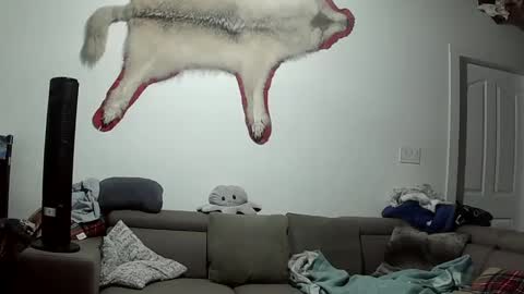 Snapshot of lolalixx6969 chatting on 10-09-25, 05:49 Lola Lixx online show from 10-09-25, 05:49