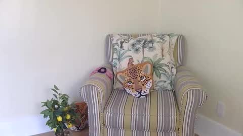 Snapshot of longlegstammy chatting on 05-23-26, 12:31 Cutenurse91 online show from 05-23-26, 12:31