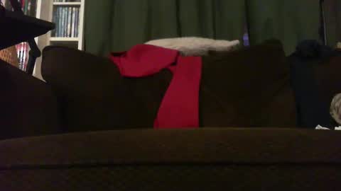 longlorne online show from 11-18-25, 04:28