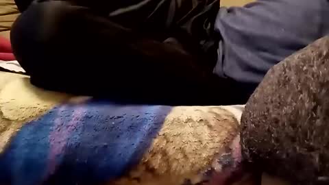 looking4bush online show from 11-13-25, 06:01