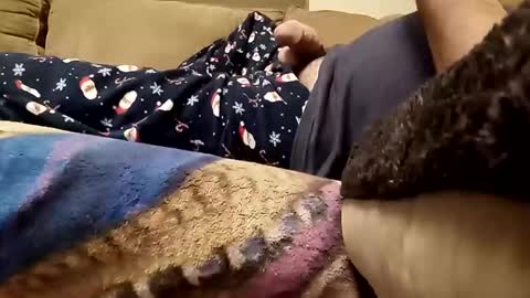 looking4bush online show from 12-23-25, 02:42