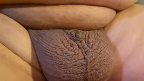 2791 3D online show from 04-14-26, 10:27