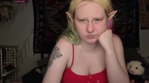 Lori Critter online show from 05-15-26, 10:50