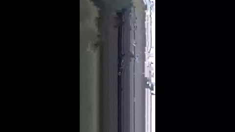 lotusbloom5 online show from 04-16-26, 10:45